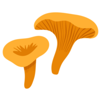 Veggie Mushroom Vegetable ATL png