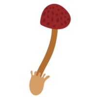 Veggie Mushroom Vegetable ATL png