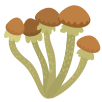 Veggie Mushroom Vegetable ATL png