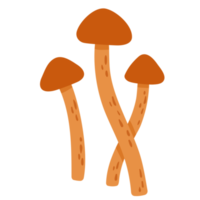 Veggie Mushroom Vegetable ATL png