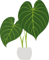 simplicidade philodendron gloriosum planta de casa simplicidade desenho à mão livre design plano. png