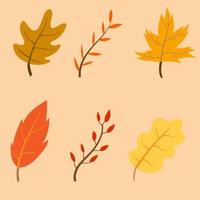 icono de vector de hojas de otoño. ilustración de hoja de otoño con varios tipos