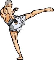 Muaythai kick boxing martial arts