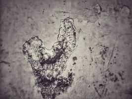 Old Wall damaged with blown Plaster and paint clog,peeling paint damage,water damage on building wall.Grunge abstract background.Wall fragment with scratches and cracks.Old distressed wall backdrop. photo