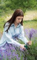 mujer joven cortando racimos de lavanda foto