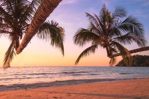 Beautiful sunset tropical beach with palm tree and blue sky for travel in holiday relax time, photo style vintage