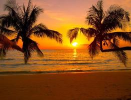 Silhouette of beautiful sunset on the sea beach with palm tree for travel in holiday relax time, photo