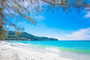 playa tropical con pino en el cielo azul de verano, día soleado foto