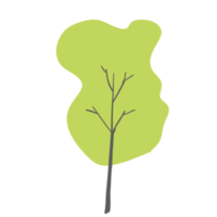 colorato albero elementi png