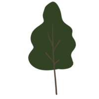 colorato albero elementi png