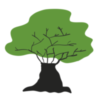 colorato albero elementi png