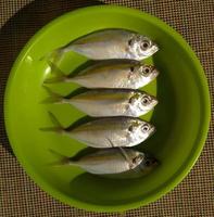 5 fresh kitefish on a green plate photo