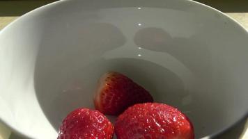 morangos frescos são despejados em uma tigela branca. video