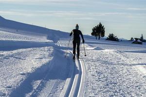 cross country nordic skiing in dolomites photo