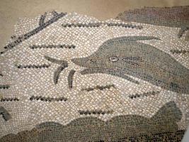 dolphin Ancient Roman mosaic of Villa del Casale, Sicily photo