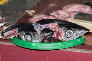 hands cutting tuna just caught at male maldives market photo