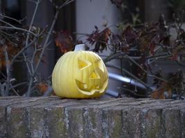 halloween natural carved pumpkin photo