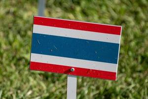 thailand flag isolated on green grass photo