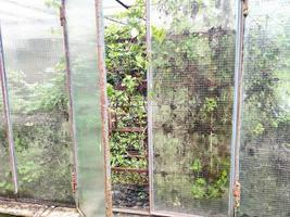 old abandoned greenhouse broken windows photo