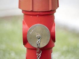 red hydrant isolated on grass background photo