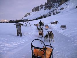 Sled dog in snowy mountains at sunset in dolomites photo