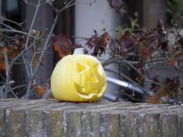 halloween natural carved pumpkin photo