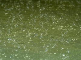 green plastic with raindrops photo