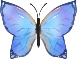 ilustração em aquarela de borboleta png