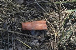 cartucho de plástico de pistola de caza en el bosque foto