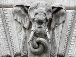 elephant decoration on a building photo