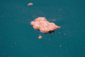 blue whale red feces krill excrement photo