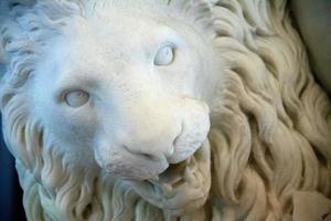 Marble lion old statue detail photo