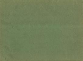 dirty green canvas background photo