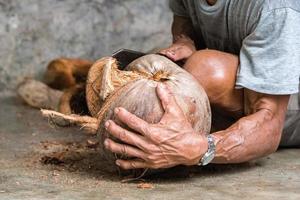 hand while cutting and opening fresh coconut photo