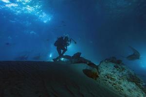 bucear en agua infestada de tiburones por la noche en el sitio de alimatha maldives foto