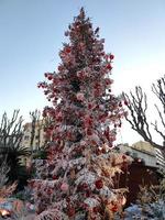 menton, francia - 11 de diciembre de 2021 - pueblo de santa abierto para navidad foto