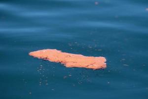 blue whale red feces krill excrement photo
