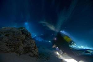 diving with shark at night on alimatha maldives site photo