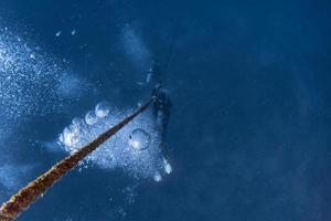 scuba divers while diving in deep blue sea photo