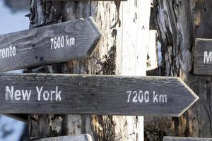 New York distance wood sign on dead tree photo