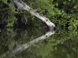 Liveto lake piedmont italy water reflection photo