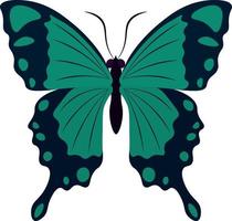 Black and turquoise colors nice butterfly vector illustration