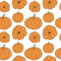 Pumpkin seamless pattern on white background vector