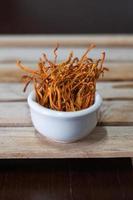 Dry cordyceps militaris mycelium in white bowl with wooden background. Orange medical mushroom for good health. photo