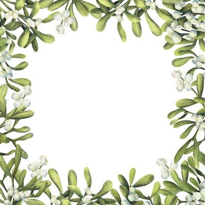 Watercolor frame of Christmas plants . Hand painted floral border with white mistletoe branches isolated on white background.