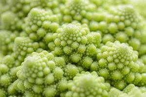 Roman cauliflower isolated on white background, it is an edible flower bud of the species Brassica oleracea. First documented in Italy, it is chartreuse in color. photo