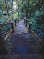 Cave in the middle of the forest photo