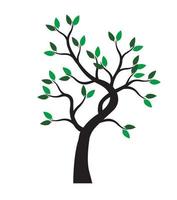 Breen spring Tree. Vector Illustration.