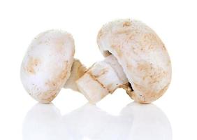 fresh champignon mushroom photo