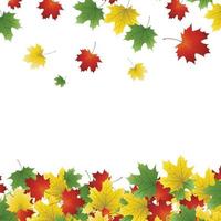 vector image of autumn leaves